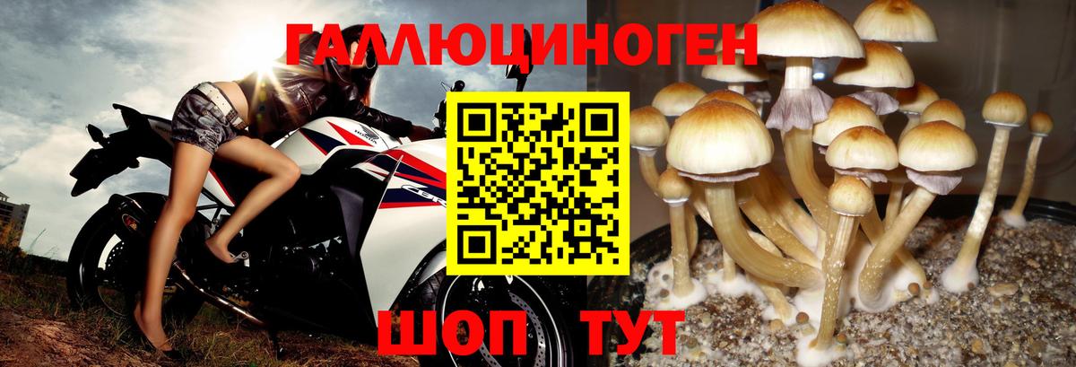 Галлюциногенные грибы MAGIC MUSHROOMS Нефтекумск
